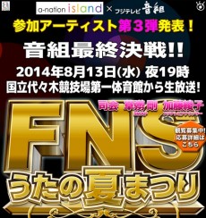 fns2014s-site